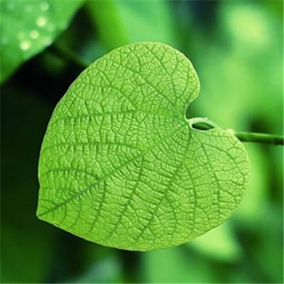 中日美英雄大乱斗