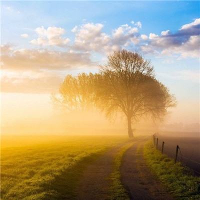 2013卡通杯足球赛